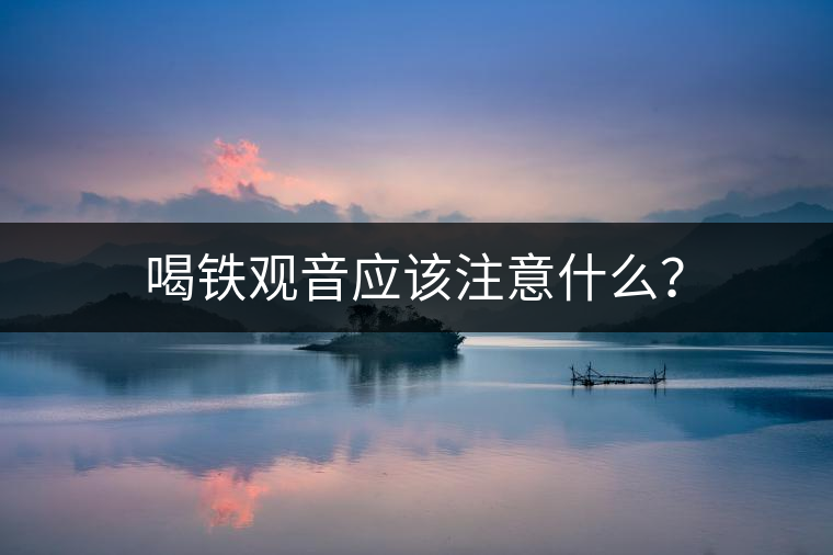 喝鐵觀音應該注意什么？