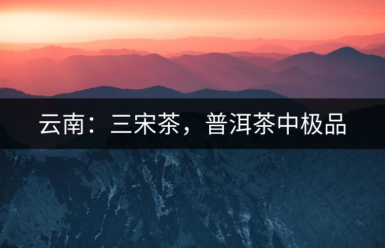 云南：三宋茶，普洱茶中極品