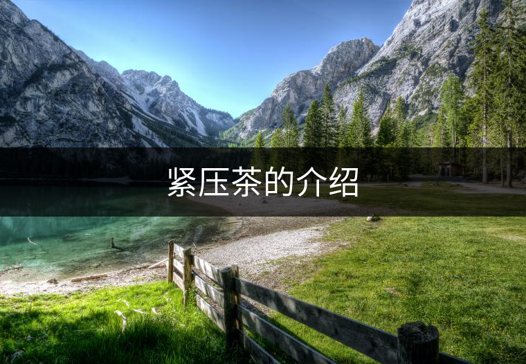 緊壓茶的介紹 緊壓茶的介紹