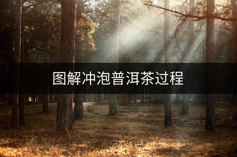 圖解沖泡普洱茶過程 圖解沖泡普洱茶過程