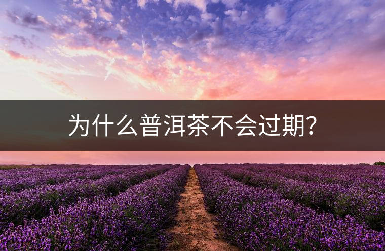 為什么普洱茶不會過期？