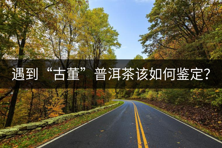 遇到“古董”普洱茶該如何鑒定？