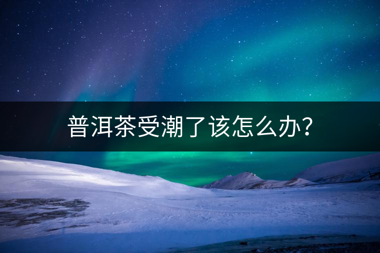 普洱茶受潮了該怎么辦？