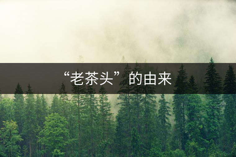 “老茶頭”的由來 “老茶頭”的由來