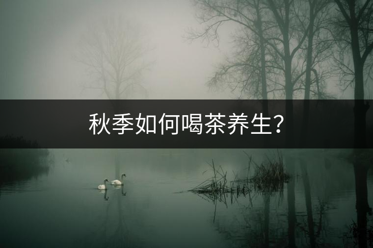 秋季如何喝茶養(yǎng)生？