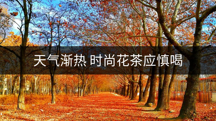 天氣漸熱 時尚花茶應慎喝 天氣漸熱 時尚花茶應慎喝