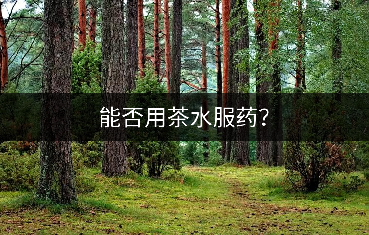 能否用茶水服藥？