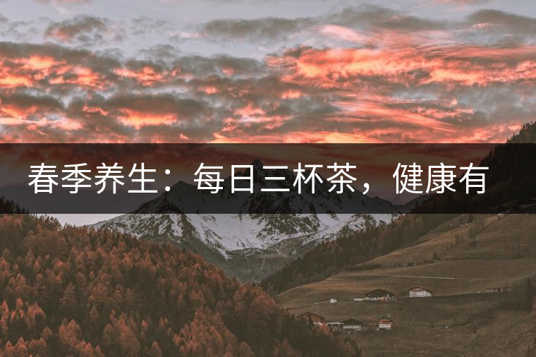 春季養(yǎng)生：每日三杯茶，健康有保障
