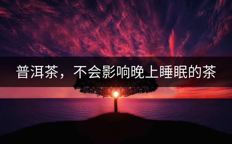 普洱茶，不會影響晚上睡眠的茶
