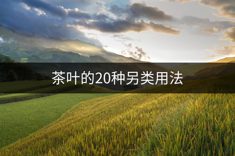 茶葉的20種另類用法 茶葉的20種另類用法