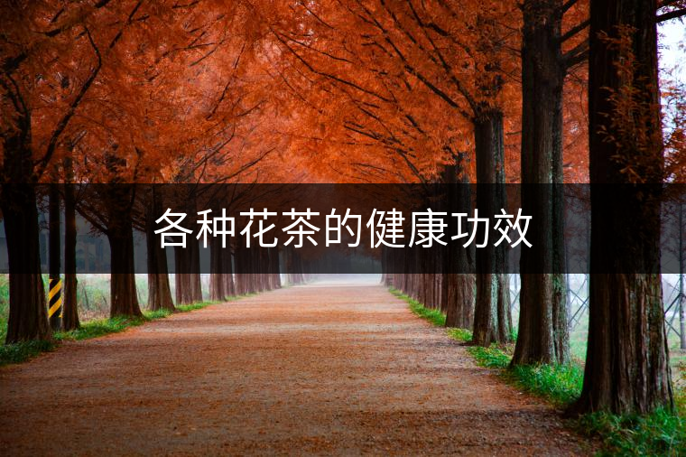 各種花茶的健康功效 各種花茶的健康功效