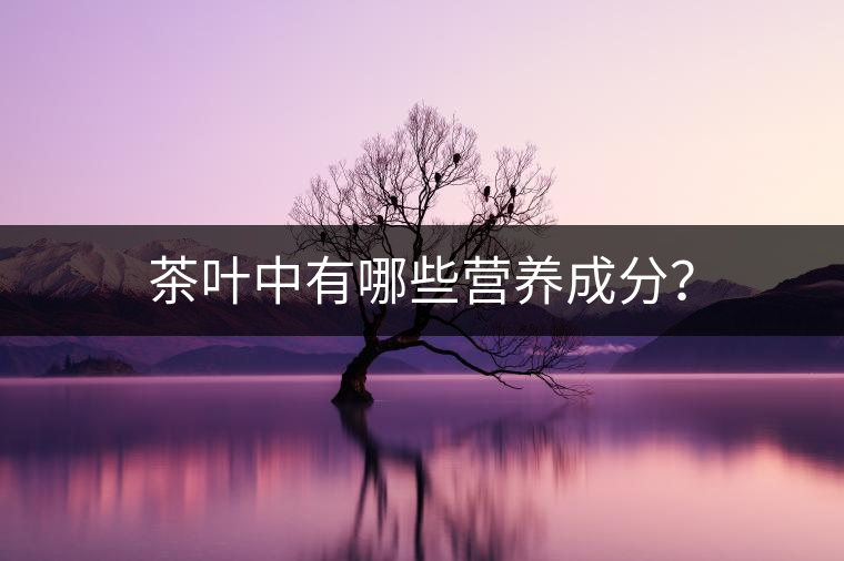 茶葉中有哪些營養(yǎng)成分？