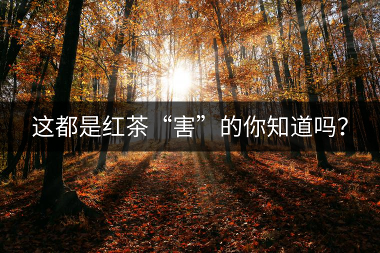 這都是紅茶“害”的你知道嗎？