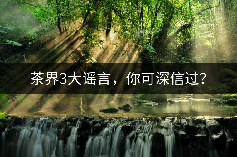 茶界3大謠言，你可深信過？