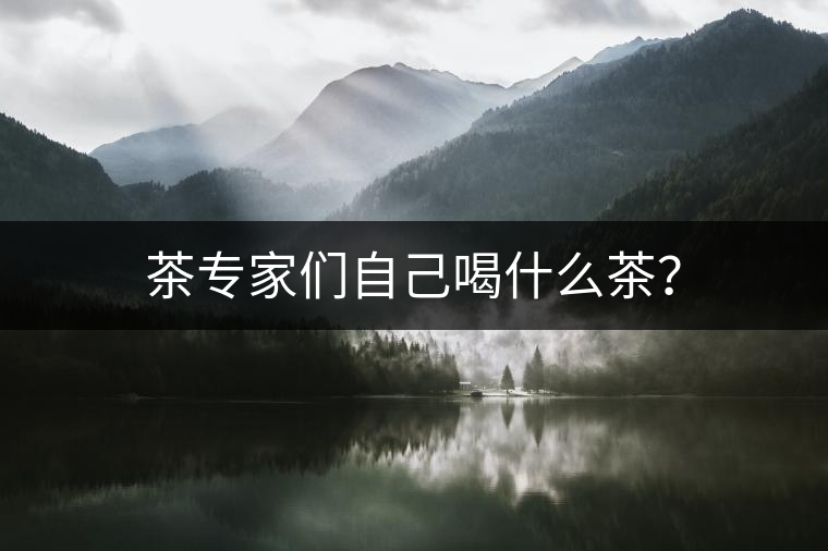 茶專家們自己喝什么茶？