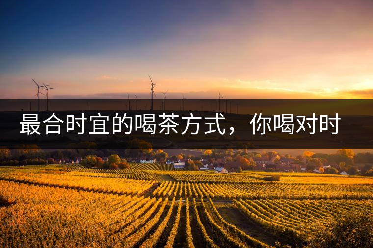 最合時(shí)宜的喝茶方式，你喝對(duì)時(shí)間了嗎？