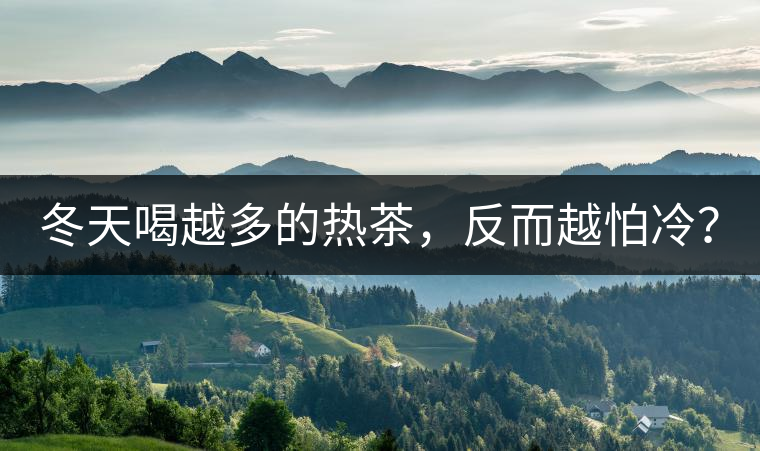 冬天喝越多的熱茶，反而越怕冷？