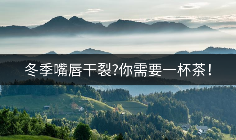 冬季嘴唇干裂?你需要一杯茶！