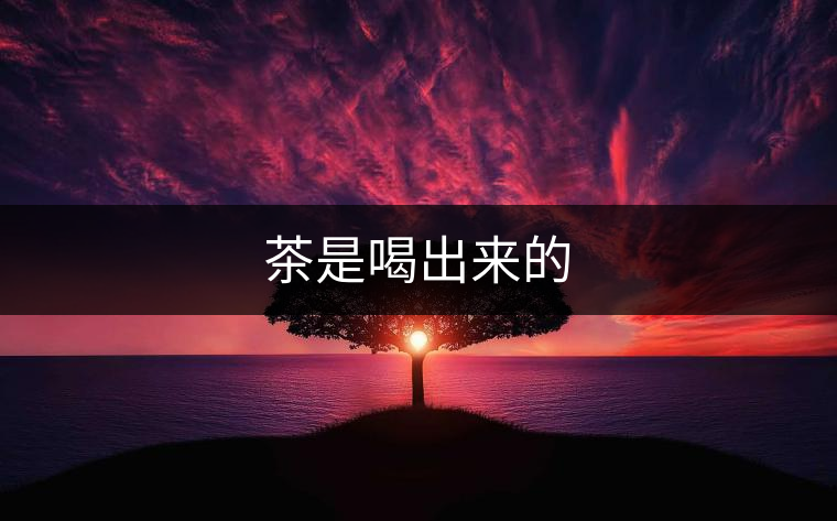 茶是喝出來的