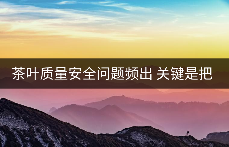 茶葉質(zhì)量安全問題頻出 關鍵是把控源頭