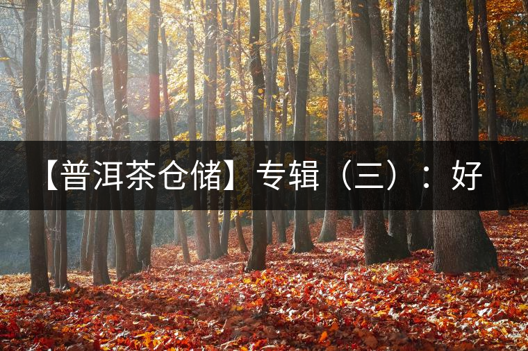【普洱茶倉(cāng)儲(chǔ)】專輯（三）：好倉(cāng)儲(chǔ)還得有好茶，把控“選購(gòu)關(guān)”