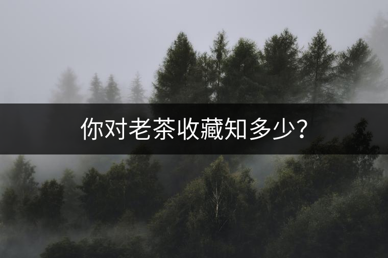 你對老茶收藏知多少？