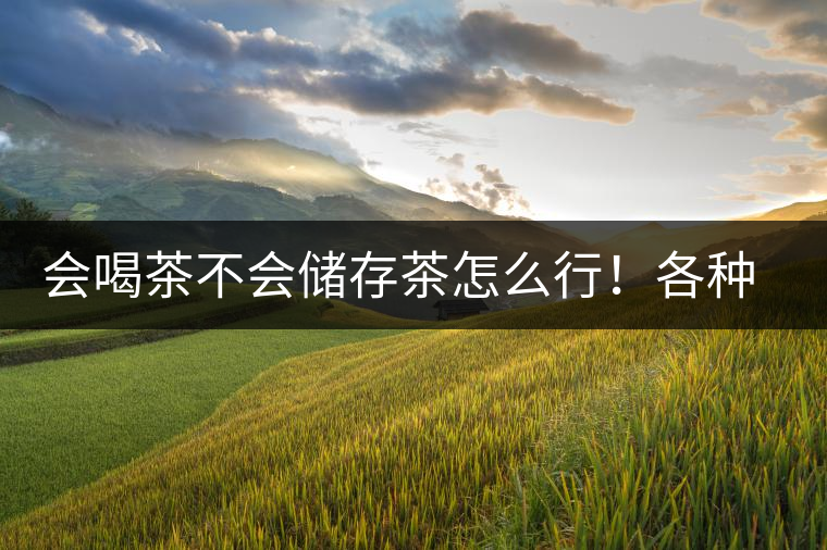 會(huì)喝茶不會(huì)儲(chǔ)存茶怎么行！各種存茶方法與技巧，把茶香留住