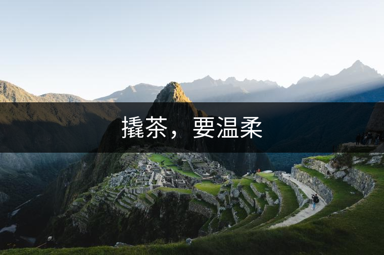 撬茶，要溫柔