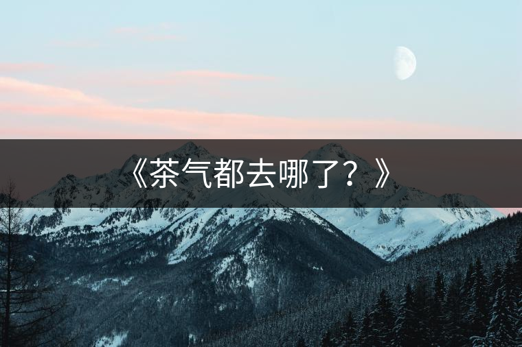 《茶氣都去哪了？》