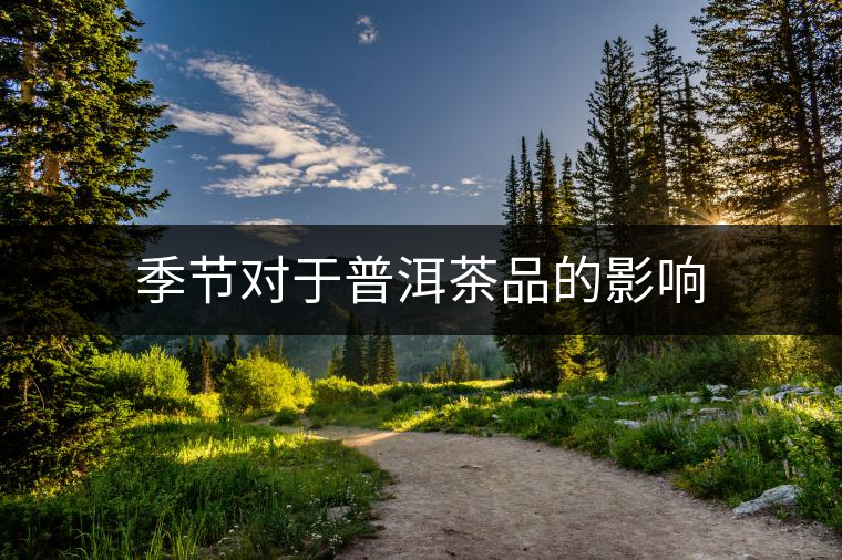 季節(jié)對于普洱茶品的影響 季節(jié)對于普洱茶品的影響