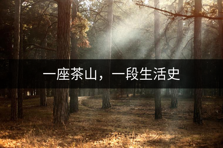 一座茶山，一段生活史