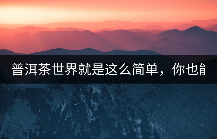 普洱茶世界就是這么簡單，你也能懂！