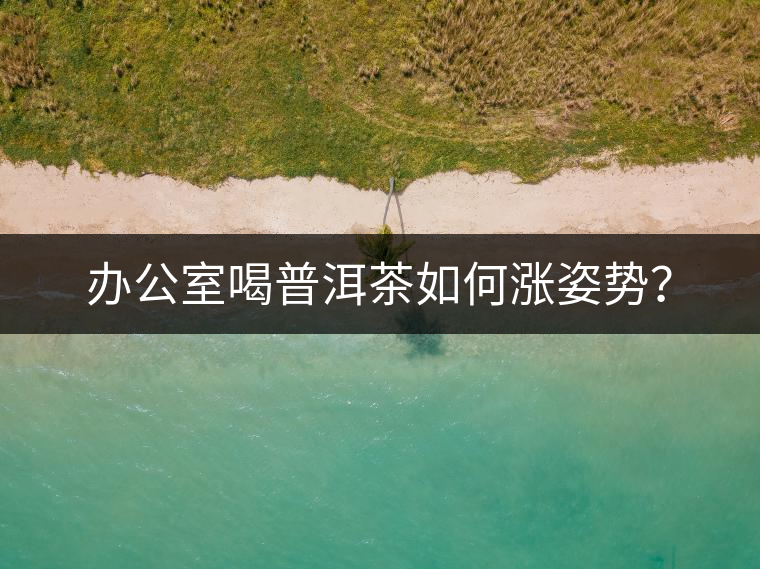 辦公室喝普洱茶如何漲姿勢？