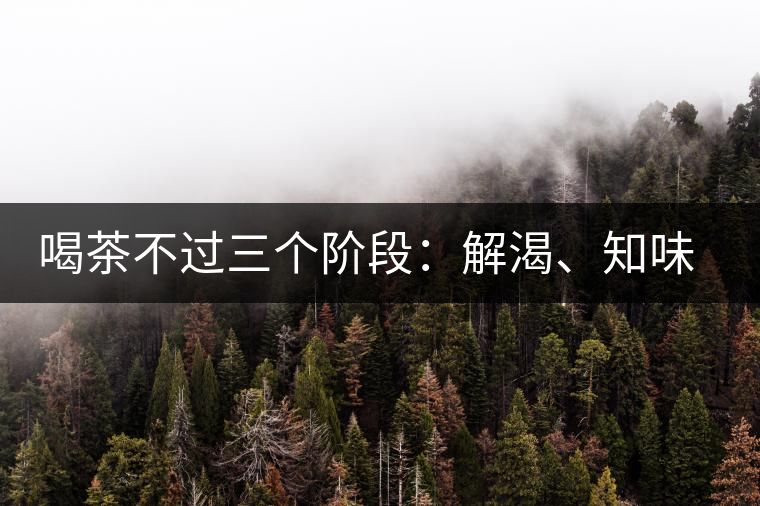 喝茶不過三個階段：解渴、知味、怡情