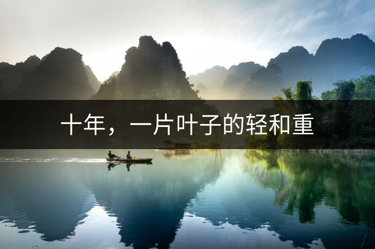 十年，一片葉子的輕和重