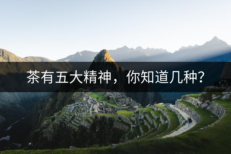 茶有五大精神，你知道幾種？