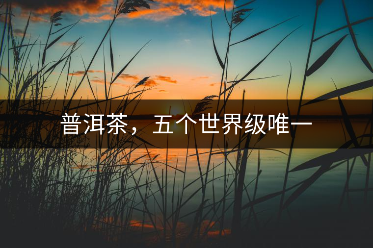 普洱茶，五個(gè)世界級(jí)唯一