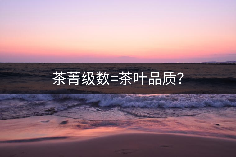 茶菁級(jí)數(shù)=茶葉品質(zhì)？