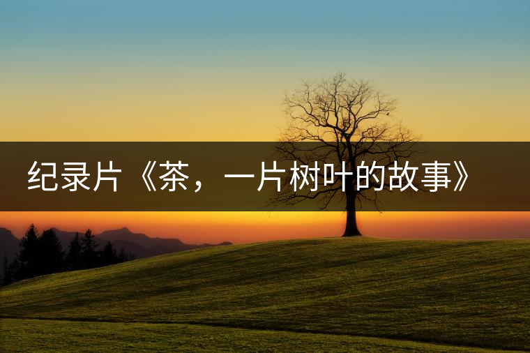 紀錄片《茶，一片樹葉的故事》 茶文化的詩意追尋