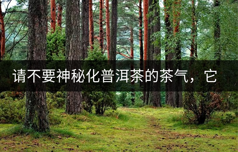 請不要神秘化普洱茶的茶氣，它是科學的存在