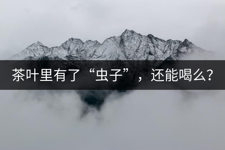 茶葉里有了“蟲子”，還能喝么？
