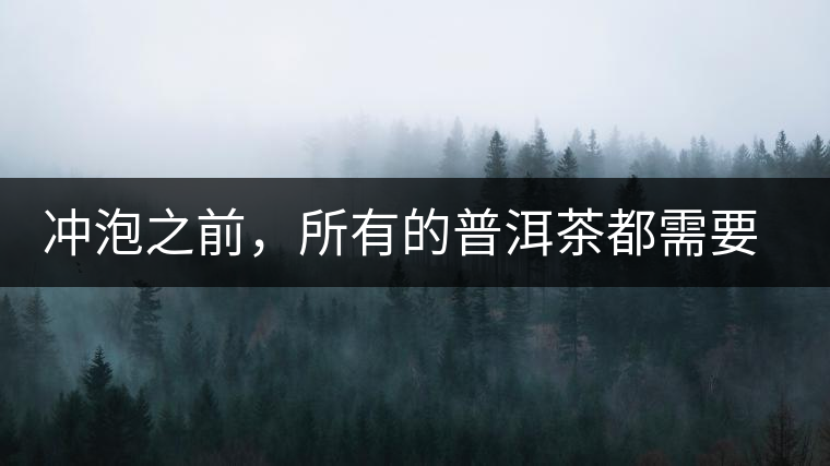 沖泡之前，所有的普洱茶都需要醒茶嗎？