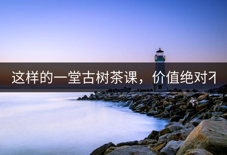 這樣的一堂古樹茶課，價值絕對不止998