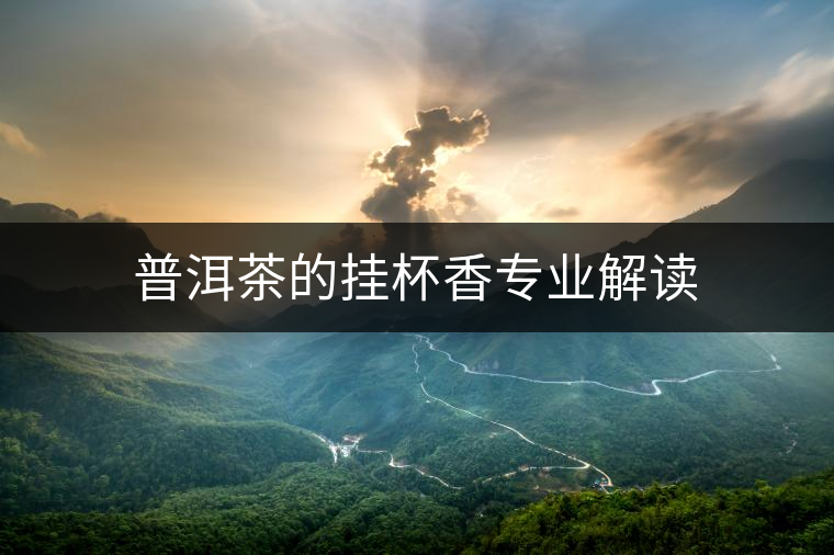普洱茶的掛杯香專業(yè)解讀 普洱茶的掛杯香專業(yè)解讀