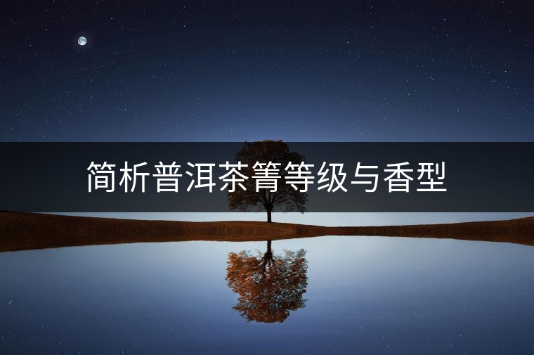 簡(jiǎn)析普洱茶箐等級(jí)與香型