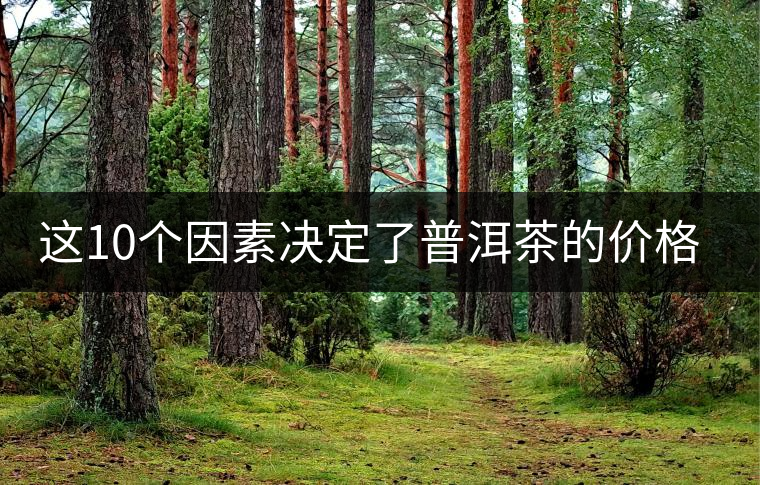 這10個(gè)因素決定了普洱茶的價(jià)格？