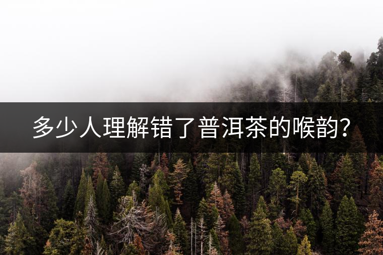 多少人理解錯了普洱茶的喉韻? 多少人理解錯了普洱茶的喉韻?