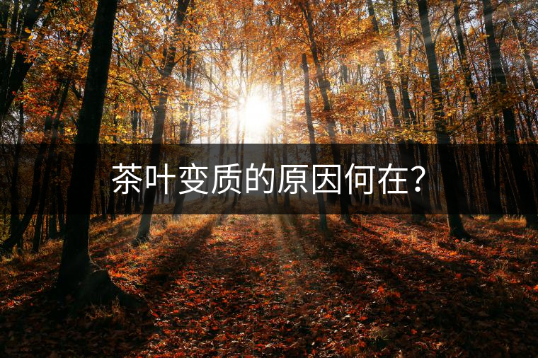 茶葉變質(zhì)的原因何在？