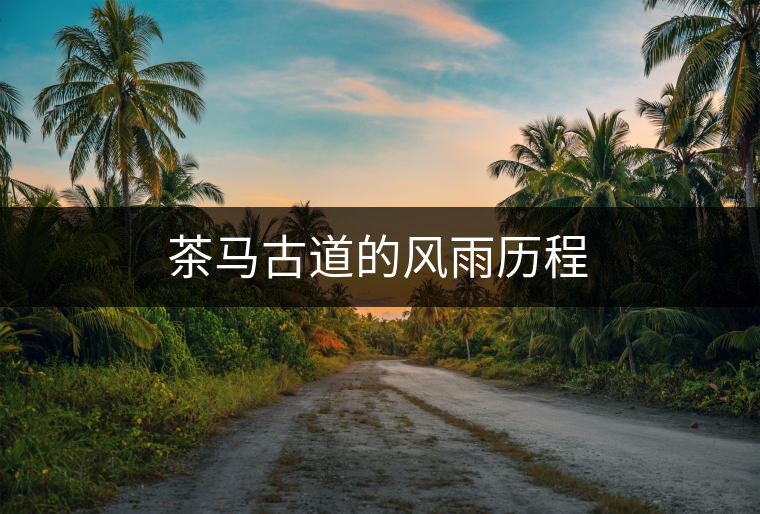 茶馬古道的風(fēng)雨歷程 茶馬古道的風(fēng)雨歷程