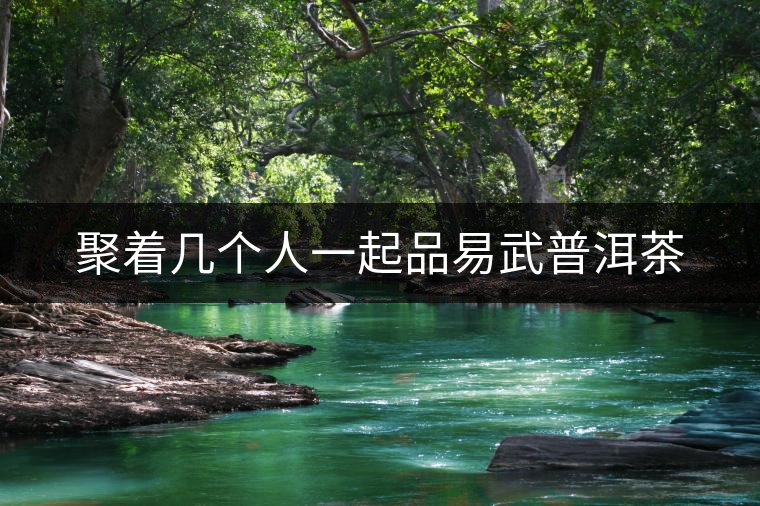 聚著幾個(gè)人一起品易武普洱茶 聚著幾個(gè)人一起品易武普洱茶